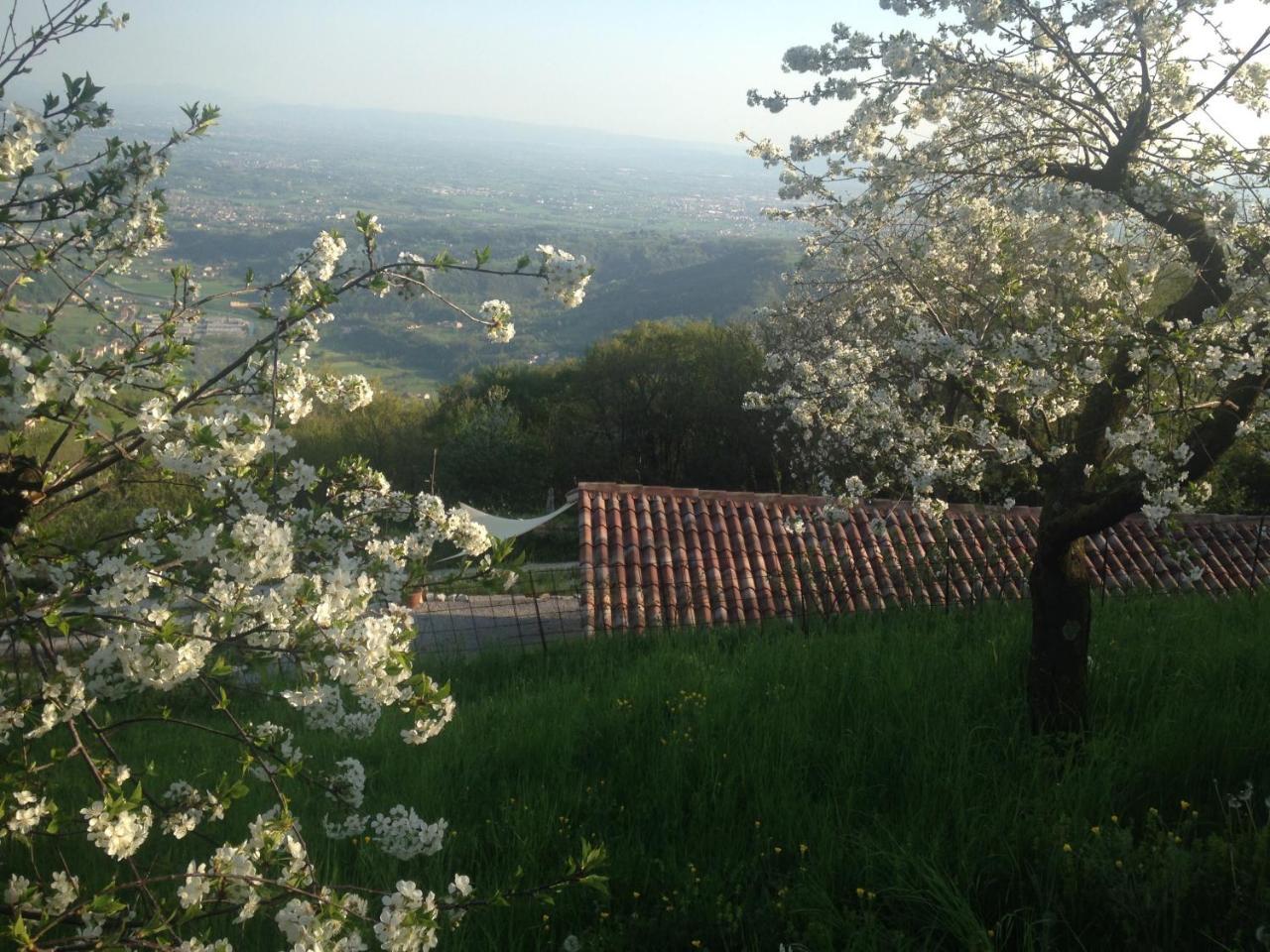 Villa Calvenere Exterior foto